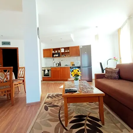 Apartment Pirin View *