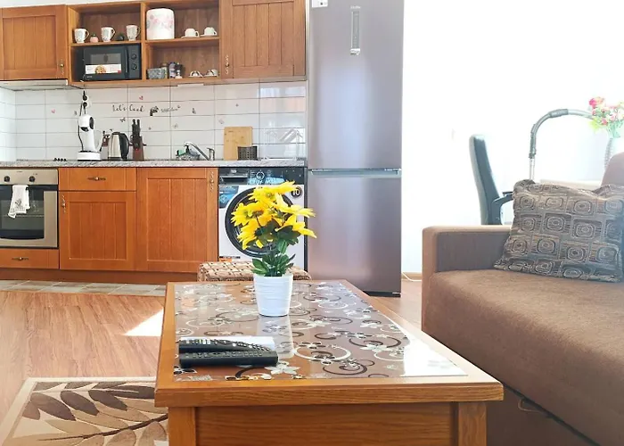 Pirin View Apartment